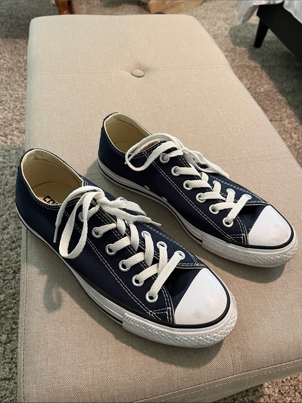 Converse Chuck Taylor All Star Canvas Unisex Low Top Shoes
